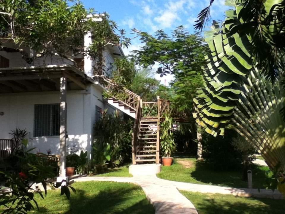 Bluebelize B&B 蓬塔戈尔达 外观 照片